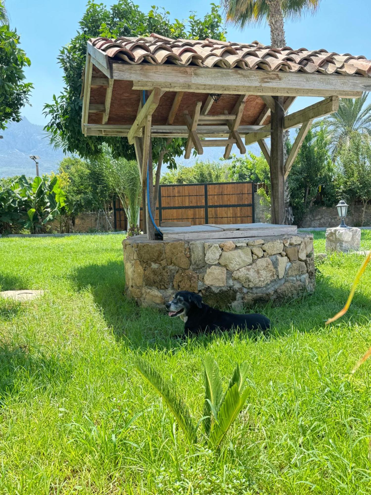 The Horse Farm Hotel Agios Georgios  Exterior foto