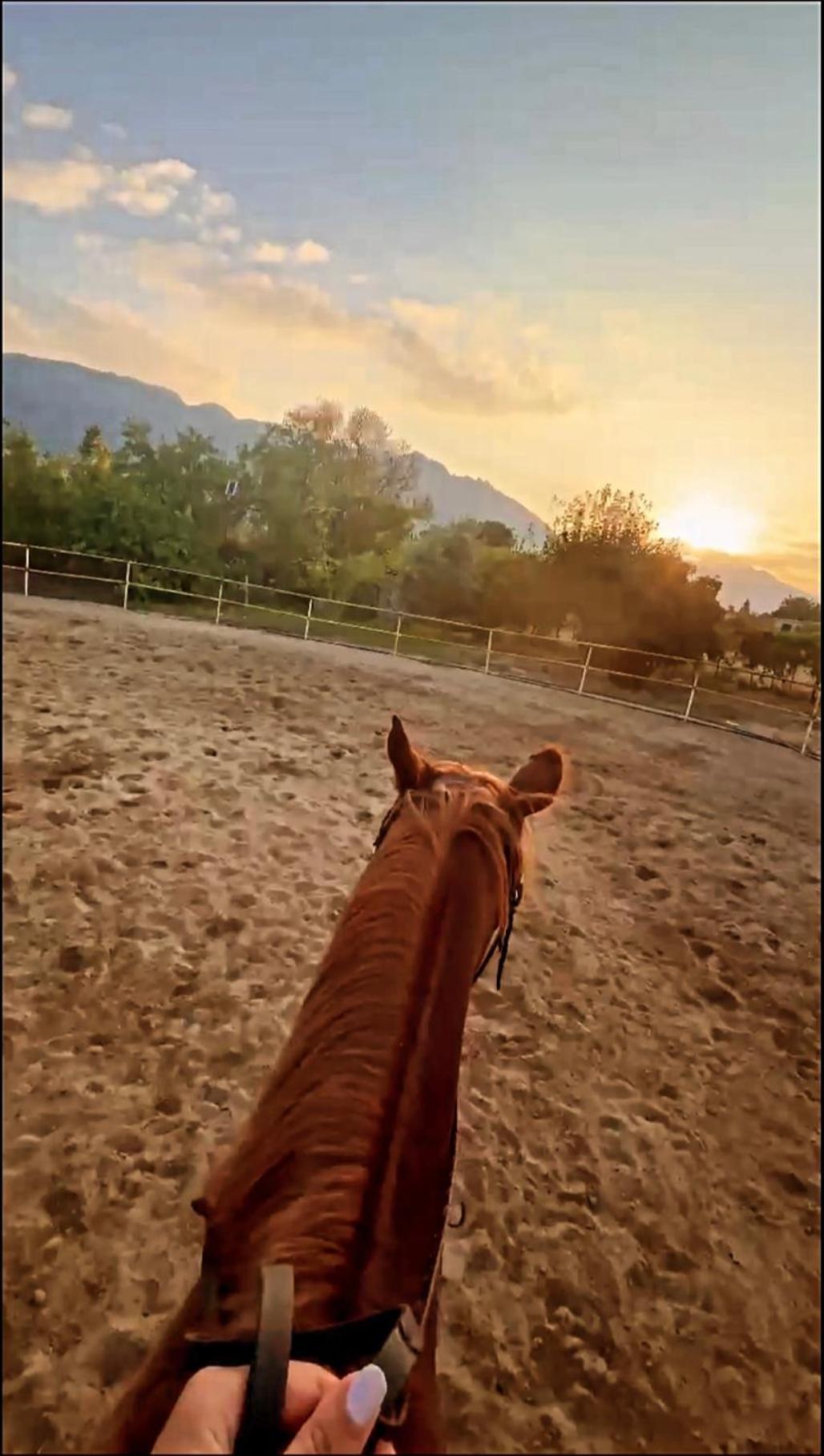 The Horse Farm Hotel Agios Georgios  Exterior foto